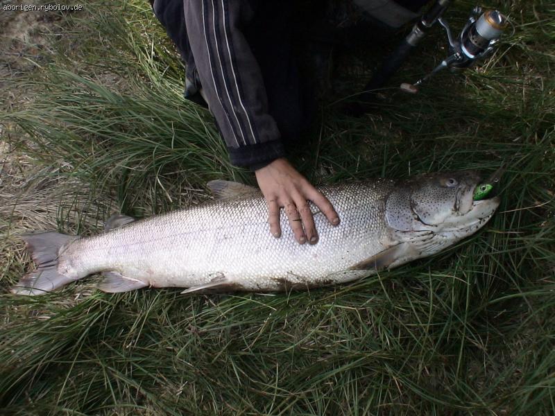 --Таймень (Даги, осень 2005) - рыбалка (фотоальбом)