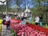   Keukenhof -  ()