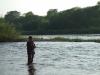 Fly-Fishing -  ()