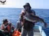 Морская рыбалка на Сахалине - рыбалка (фотоальбом)