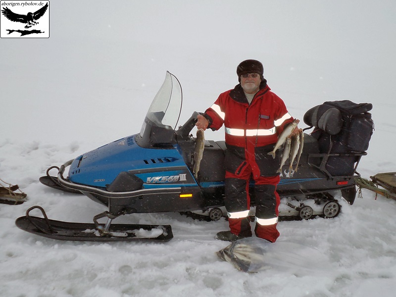 --Самая большая зубатка живет на севере Сахалина - рыбалка (фотоальбом)